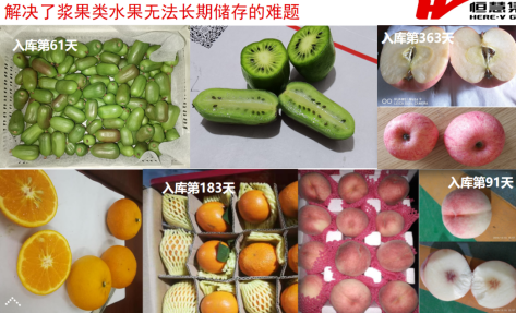 果蔬肉食储藏解决方案(图3)